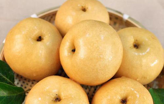 �и����Գ����� �и��������